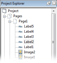 Project Explorer