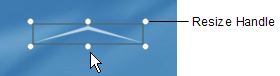 Graphics_users_guide_lesson_2_resize_handle_callout